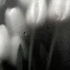 j_jurie