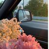 mayar_8204