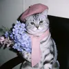 ir_7ib