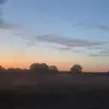 gxst_27361717
