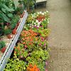 gardenjardins