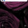 user1543429433227