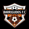 barrigudos_fc