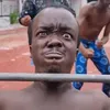 african.lore.anim