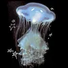 jellyfishy_5