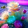 user1780842161807