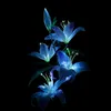 ayesha_62800