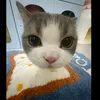 not_princess1