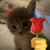 l0ve_sl