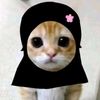 anisa.tinytoes