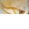 nazz_08925