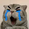 vananhcuti223