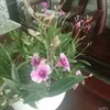 minh.tuan992