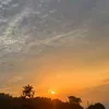 xiaonima123