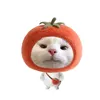 hi_chao_cau2011