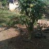 masamin8295
