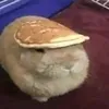 posholnahuipidarrr