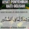 umisari74