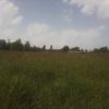 kemboireuben