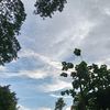 htet.htet.yin