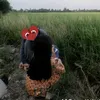 duyen48691664