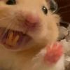 chwrrynana