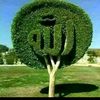 user82114857766781