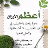 amalou.majed