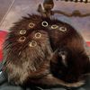 catgirllovesjewellery