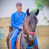 ameerkhan78613