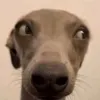 dunnoytho
