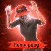 www.tiktok_fenix_pubg