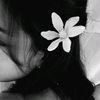 kxxsssn