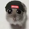 .arthur009