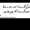 iqrarasheed412