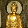 shamilasokalingam