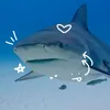 jazs_notfound