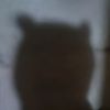 mli_jms18