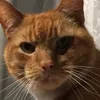 laura_5792