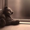 bearyfriendlyhooman