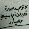 user8303476081828