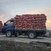 Girenda UZ Koreya