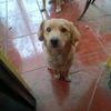 martinramos2604