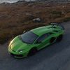 forza_olly