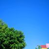 trula_11