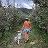 theplayfulmama