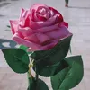 zharaa905