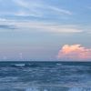 neveah_1239