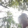 amiradpp0sw