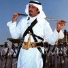 al.shalwi501